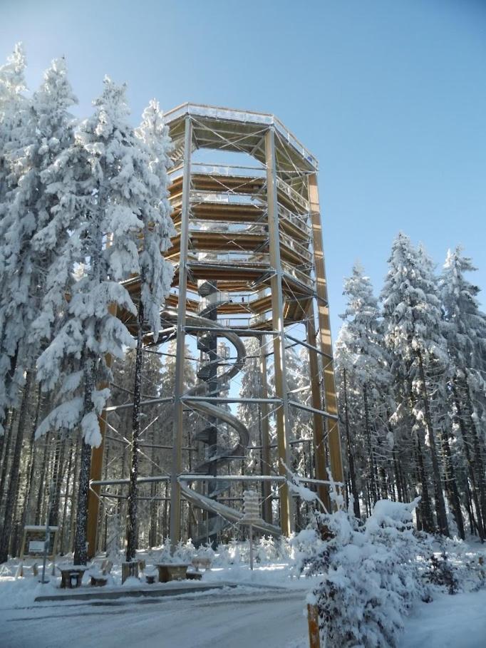 Apartment Korzo Lipno C *